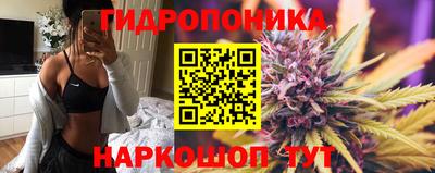 гашик Тулун