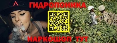 гашик Тулун