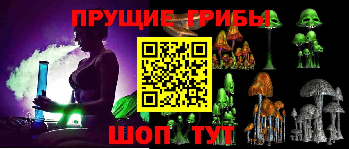 Псилоцибиновые грибы Psilocybine cubensis  Вход с VPN  Луховицы 